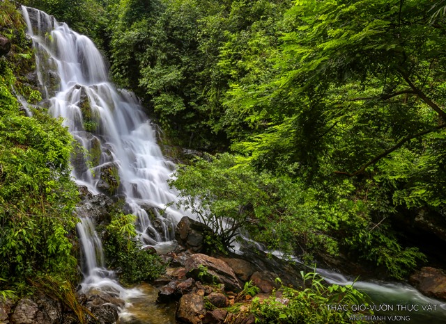Phong Nha Botanic Garden